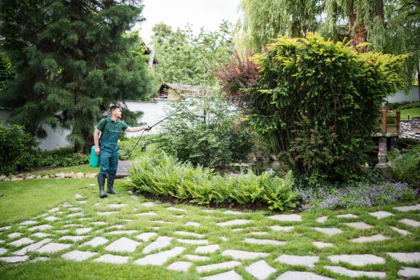 Best Pest Removal Services  in Oakland, OK