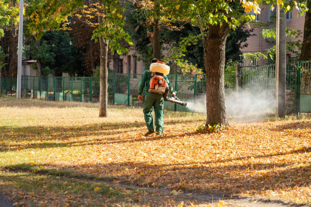 Reliable Oakland, OK Pest Control Solutions