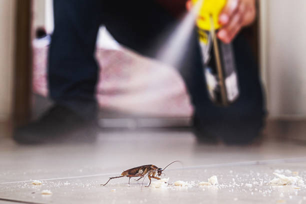 Best Pest Control for Businesses  in Oakland, OK