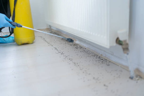 Best Pest Control Near Me  in Oakland, OK