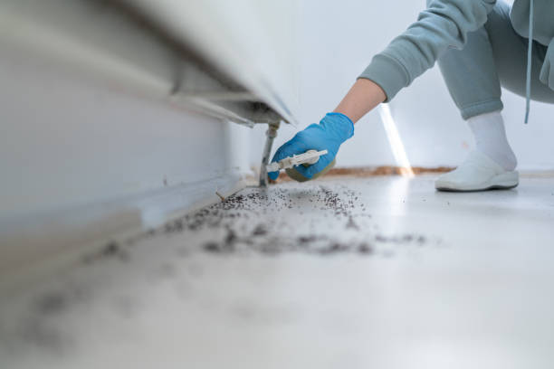 Wildlife Control Services in Oakland, OK