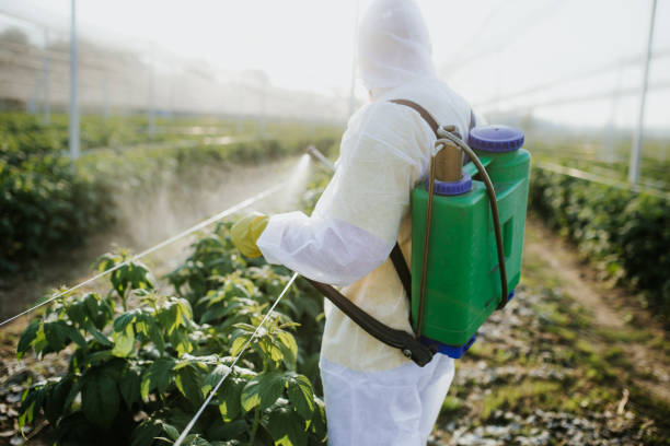 Best Best Pest Control Companies  in Oakland, OK